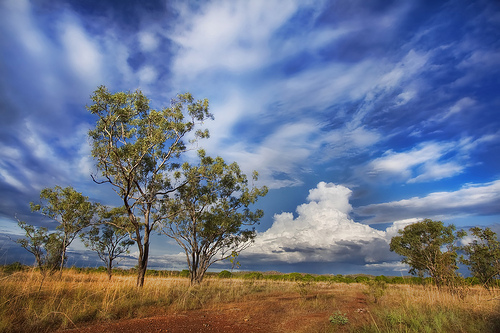 Outback nei Territori del Nord