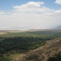 Il parco nazionale del lago Manyara in Tanzania