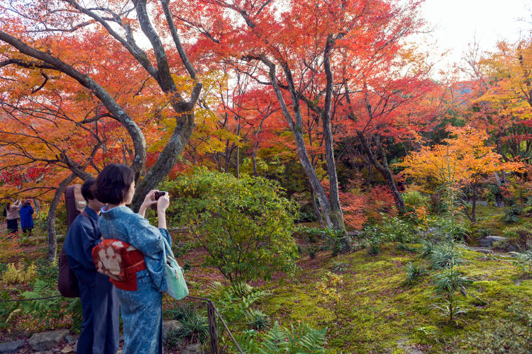 I colori tipici dell'autunno in Giappone, un ottimo periodo per viaggiare.