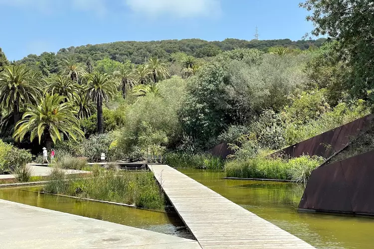 Lo splendido giardino botanico di Barcellona.