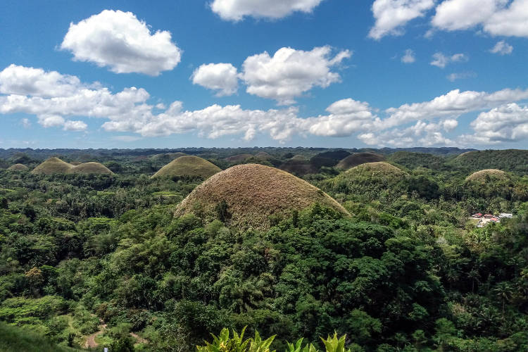 Le colline di cioccolato a Bohol.