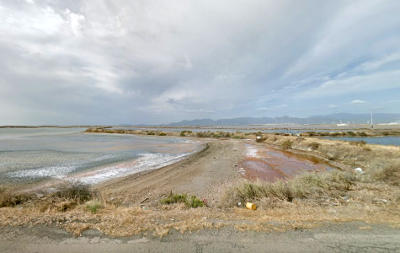 Laguna di Santa Gilla, Stagno di Cagliari.