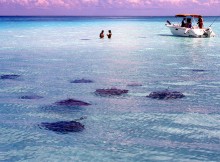 isole Cayman