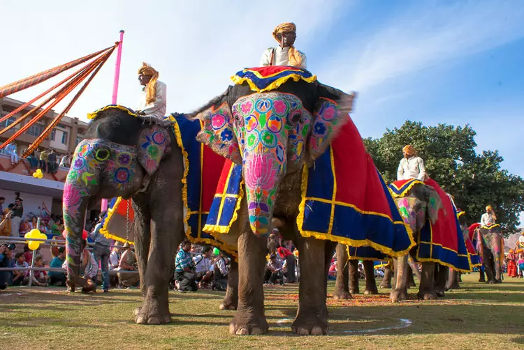 Il Festival degli Elefanti e la Festa dei Colori sono gli eventi da non perdere a Jaipur.
