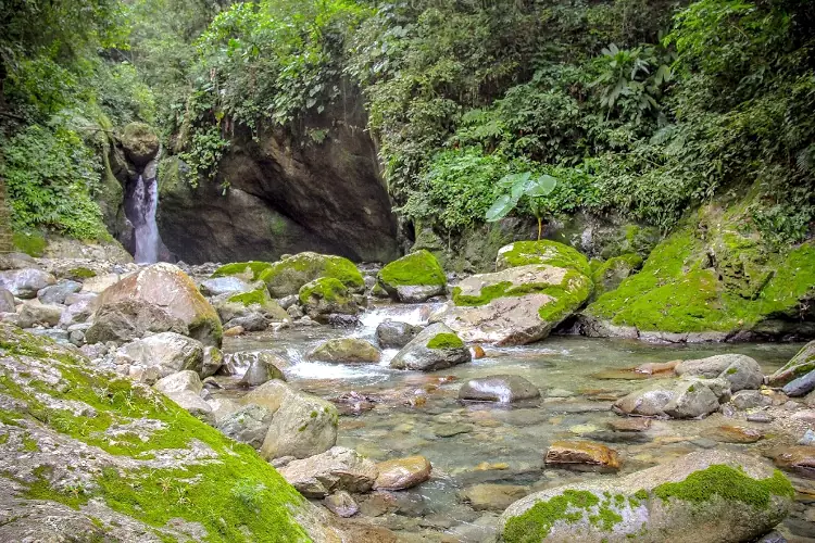 La bellezza del Parco Nazionale di Pico Bonito in Honduras.