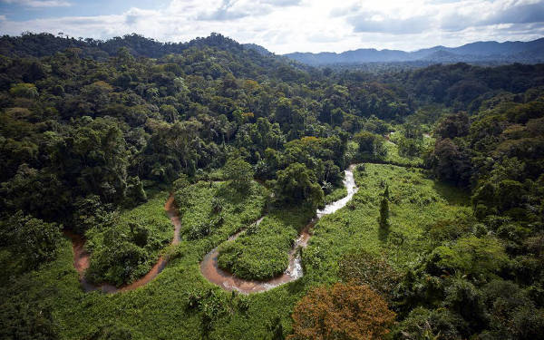 Un'immagine della riserva della biosfera Rio Platano.