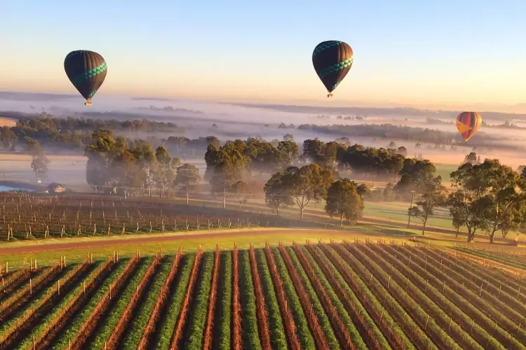 La Hunter Valley è una zona vinicola in cui fare gite in mongolfiera.