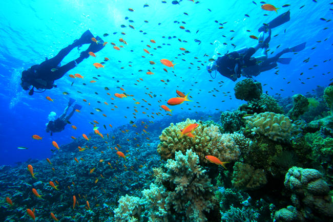 Immersioni e snorkeling in Giamaica.