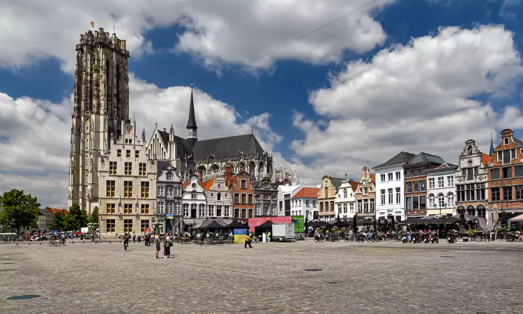 La cattedrale di Sint Rombout a Mechelen, o Malines , in Belgio.