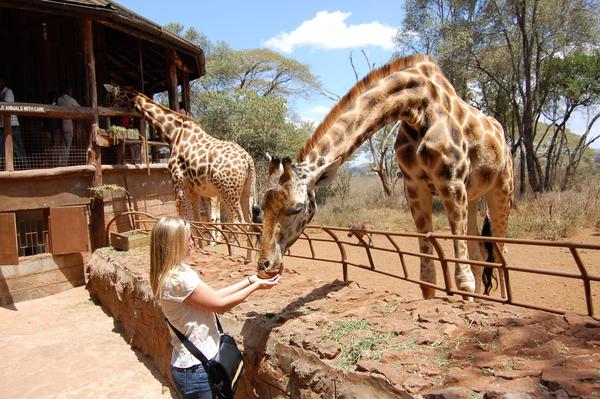 Al Giraffe Center di Nairobi.
