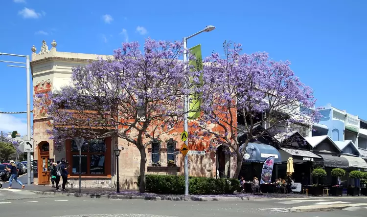 La romantica zona di Paddington e Five Ways a Sydney.