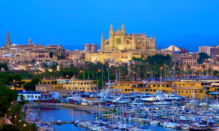 Palma di Maiorca con la cattedrale ed il porto pieno di barche.