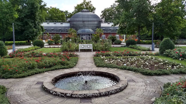 Una piccola parte del giardino botanico di Palmengarten, dove vedere piante di tutto il mondo.