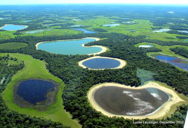 Un'area del Pantanal in Brasile.