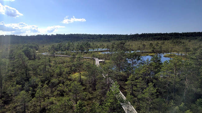 Un'immagine del Parco Nazionale di Lahemaa in Estonia, vicino Tallinn.