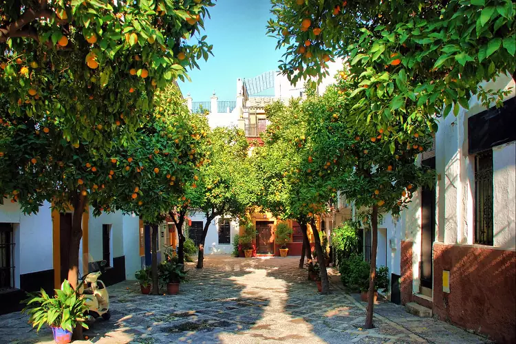 Una stradina del quartiere di Santa Cruz a Siviglia.