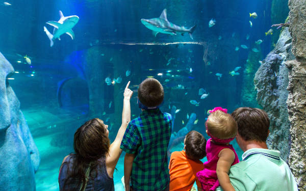 Acquario da vedere con i bambini a Helsinki.