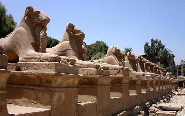 Sfingi al tempio di Karnak a Luxor, in Egitto.
