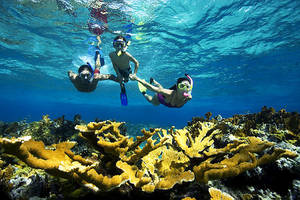 Snorkeling in Messico.