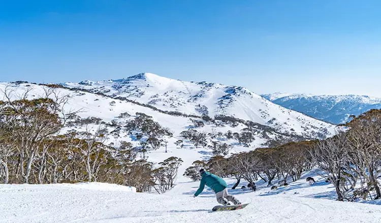 Le Snowy Mountains sono perfette per sciare, fare snowboarding  o attività estive all'aperto.