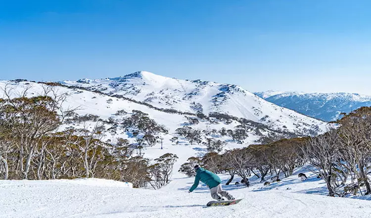 Le Snowy Mountains sono perfette per sciare, fare snowboarding o attività estive all'aperto.