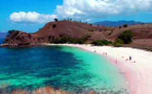 La bellissima spiaggia rosa di Lombok.