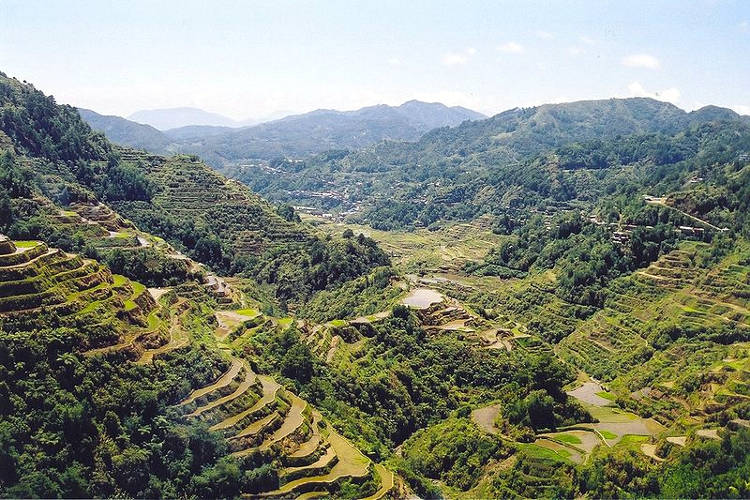 Le risaie terrazzate di Banaue.