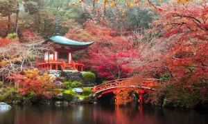 Viaggiare in Giappone per vedere i luoghi più belli.