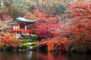 Viaggiare in Giappone per vedere i luoghi più belli.